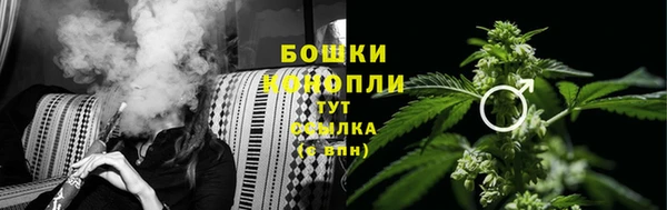 молекула духа Армянск
