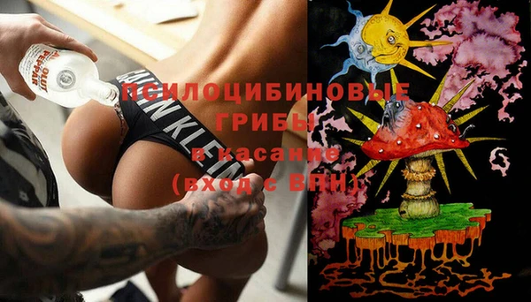 молекула духа Армянск