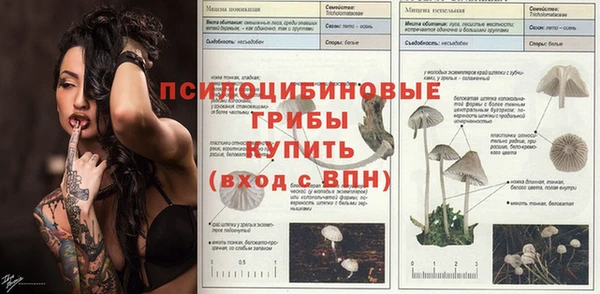твердый Арсеньев